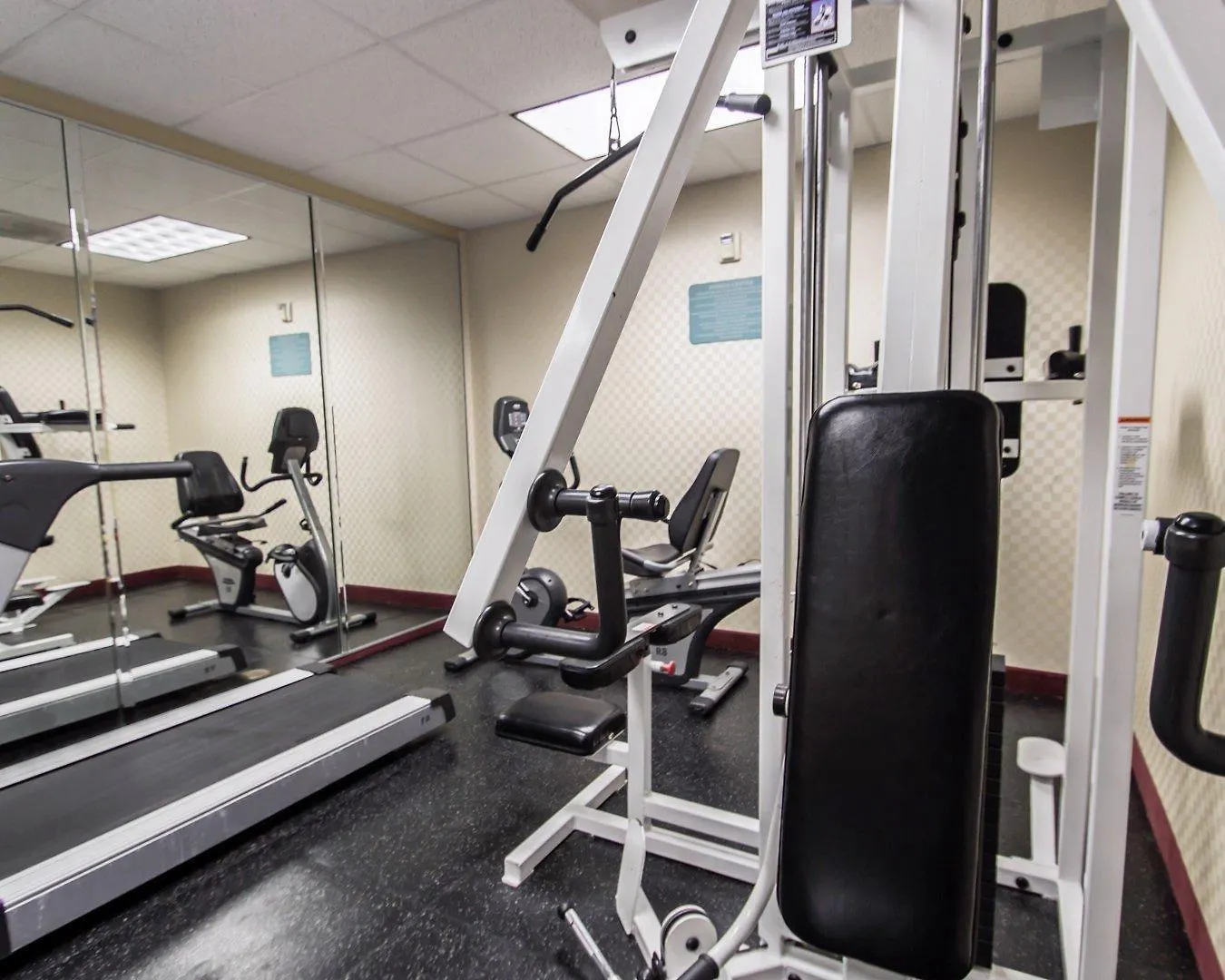 Comfort Inn & Suites Maingate South Davenport Hotel